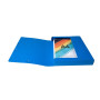 Bte Classement CL D40 EXABOX NF Bleu