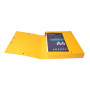 Bte Classement CL D40 EXABOX NF Jaune