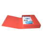 Bte Classement CL D60 EXABOX NF Rouge