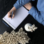 * Bloc agrafé Rhodia WHITE N°19 21x31,8 cm 80 feuillets ligné avec marge 80 g