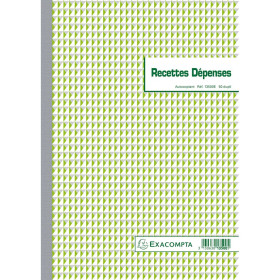 RECETTES DEPENSES 29,7/21 50D A.