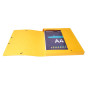 Bte Classement CL D25 EXABOX NF Jaune