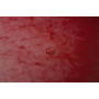 Bte Classement CL D25 EXABOX NF Rouge