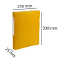 Bte Classement CL D25 EXABOX NF Jaune