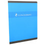 CAHIER CONQUERANT 7 AGRAFE 210X297 192P 70G SEYES