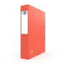 BOITE OXFORD BICOLOR 24X32 D60 ASSORTI