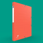 BOITE OXFORD BICOLOR 24X32 D25 ASSORTI