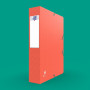 BOITE OXFORD BICOLOR 24X32 D60 ASSORTI