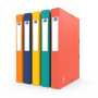 BOITE OXFORD BICOLOR 24X32 D40 ASSORTI