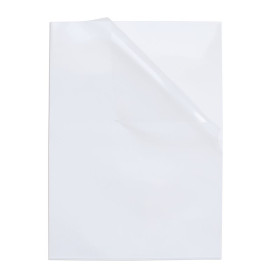 10 POCHETTE COIN OXFORD SACH A3PORTRAIT PP170 LISSE INCOLORE