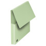 10 POCHETTE VIP OXFORD CLINE 24x32 KR VERT PASTEL