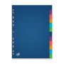 INTERCALAIRES NEUTRES OXFORD COLOR LIFE A4+ 12 POSITIONS POLYPROPYLENE 3/10 ASSO