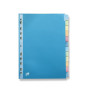 INTERCALAIRES NEUTRES OXFORD COLOR LIFE A4 12 POSITIONS 220G ASSORTI