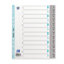 INTERCALAIRES NUMERIQUES A4XL 12P POLYPRO 12/100 GRIS