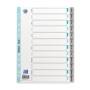 INTERCALAIRES MENSUELS A4 12 POSITIONS PP 12/100 GRIS