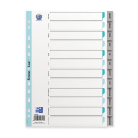 INTERCALAIRES MENSUELS A4 12 POSITIONS PP 12/100 GRIS