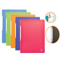 PROTEGE-DOCS STAND UP OXFORD A4 50 POCH PP ASSORTI PAV