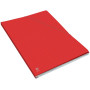CHEMISE OXFORD EUROFOLIO+ ALPINA D15 ROUGE