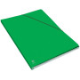CHEMISE OXFORD EUROFOLIO+ ALPINA D15 VERT