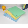 BOITE OXFORD TOP FILE + 24X32 DOS DE 25MM ASSORTI PASTEL