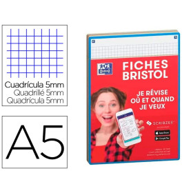 FICHES BRISTOL OXFORD REVISION 2.0 148x210 PERF 32 FICHES S/FILM Q5/5 ASSORTI
