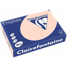 CLF R/500F TROPHEE 80GA4 SAUMON 1769