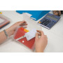 Trieur pocket PP 6 Comp. 11x18 CRYSTAL