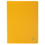 PORTE-VUES PP A4 60 VUES ASS.