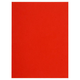 Pt 100 sous-chemises FLASH 80 rouge