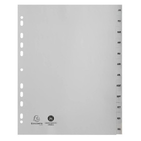 Intercalaires PP gris A4+ 12p Mois
