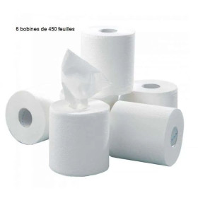 Lot de 6 bobines d'essuyages blanches recyclés 2 plis 450F 19,5x24cm 17,5 ECOLAB