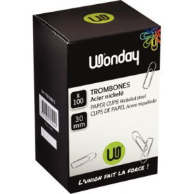 Boite de 100 trombones 30 mm galvanises bout chevron