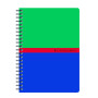 CARNET CONQUERANT 7 INTEGRALE 105x148 100P 70G Q5/5 ASSORTI