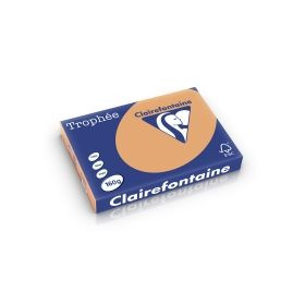 CLF R/250F TROPHEE PASTEL A3 160G - Caramel