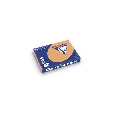 CLF R/250F TROPHEE PASTEL A3 160G - Caramel