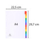 Intercal. 12P A4 carte blan.+ongl.coul.