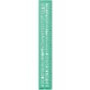MAE TRACE-LETTRES L30CM C8MM VT 258608 66C EC