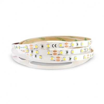 BANDEAU BLC 2700K 5M 60LED ET 4.8W/M IP20 12V