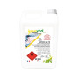 LOTION AD 70 ECOCERT HYDROALCOOLIQUE - 5L (CA)