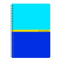 CAHIER CONQUERANT 7 INTEGRALE 148X210 180P 70G Q5/5 ASSORTI