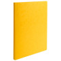 Pt 25 chemises lustro-carte 225g ass 5c.