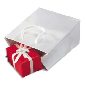 EMB P/25 SACS PELLI BLC 19X27X10CM PE19B - SG145E