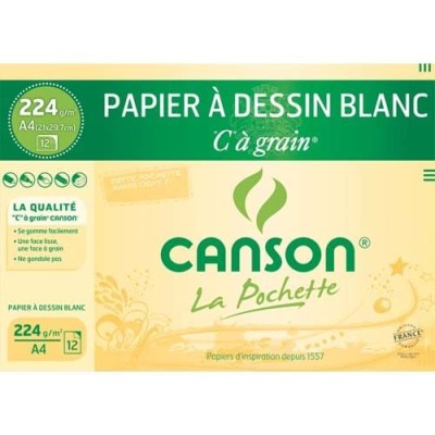 CAN P/12 FLE CAGRAIN 224G A4 C200027114