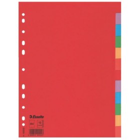 Intercalaire carton, A4, 12 touches Esselte, Multicolore
