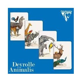 Animalis, Carnet piqués 7,5 x 12 cm 48 pages unies en présentoir de 36