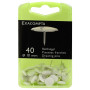 BTE 40 PUNAISES 10MM BLANC