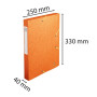 CARTOBOX Nature Future Cte L.D40 ORANGE