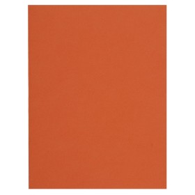 Pt 100 sous-chemises FLASH 80 orange