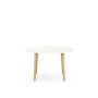 ROBIN TABLE REU.H73,5 D120 PRE PERCAGE OBT MILIEU PLT MG SO MS