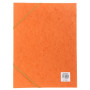 CARTOBOX Nature Future Cte L.D25 ORANGE